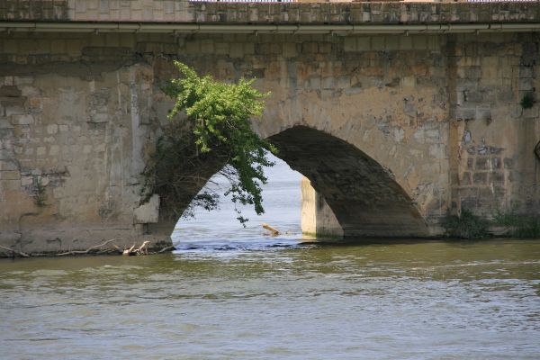 morze,woda,skała,most,rzeka,łódź