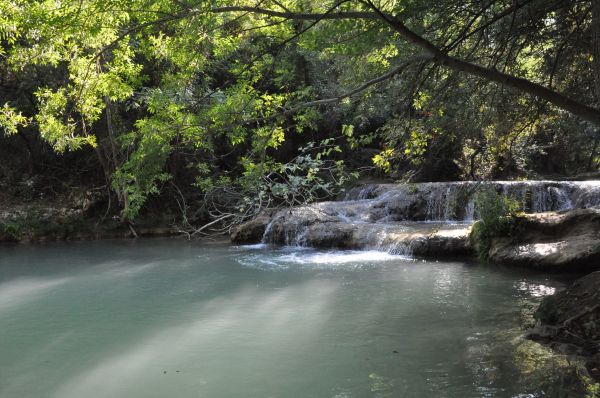 paisaje, árbol, agua, naturaleza, bosque, rock