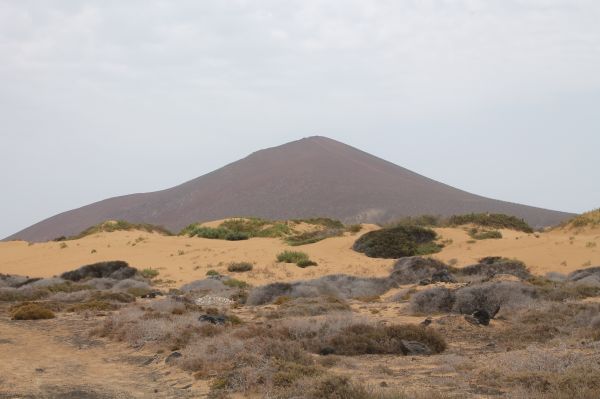 landscape, wilderness, mountain, prairie, hill, desert