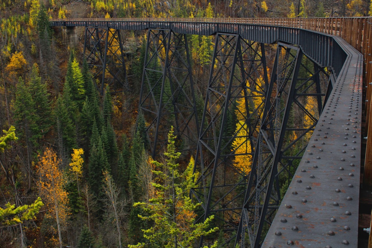 träd, skog, strukturera, järnväg, bro, blad, falla, stål, hög, höst, parkera, metall, bock, teknik, kanada, lång, stor, enorm, historisk, British Columbia, livsmiljö, före Kristus, okanagan, kvr, myracanyon, kelowna, 6, sex, kettlevalleyraiway, anläggning