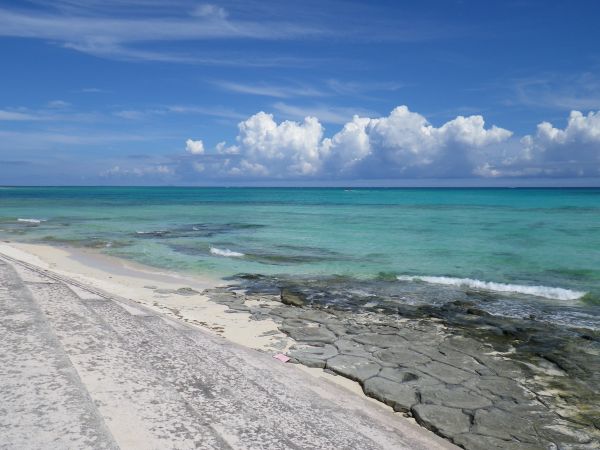 海,海洋,地平线,海滩,滨,砂