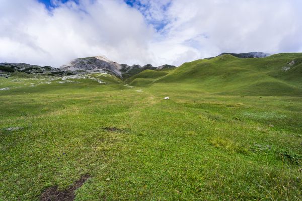 landscape, nature, grass, outdoor, wilderness, mountain