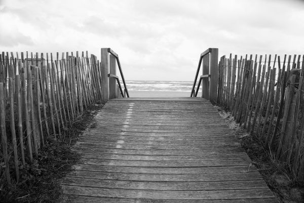 landskab,strand,hav,natur,sand,sort og hvid