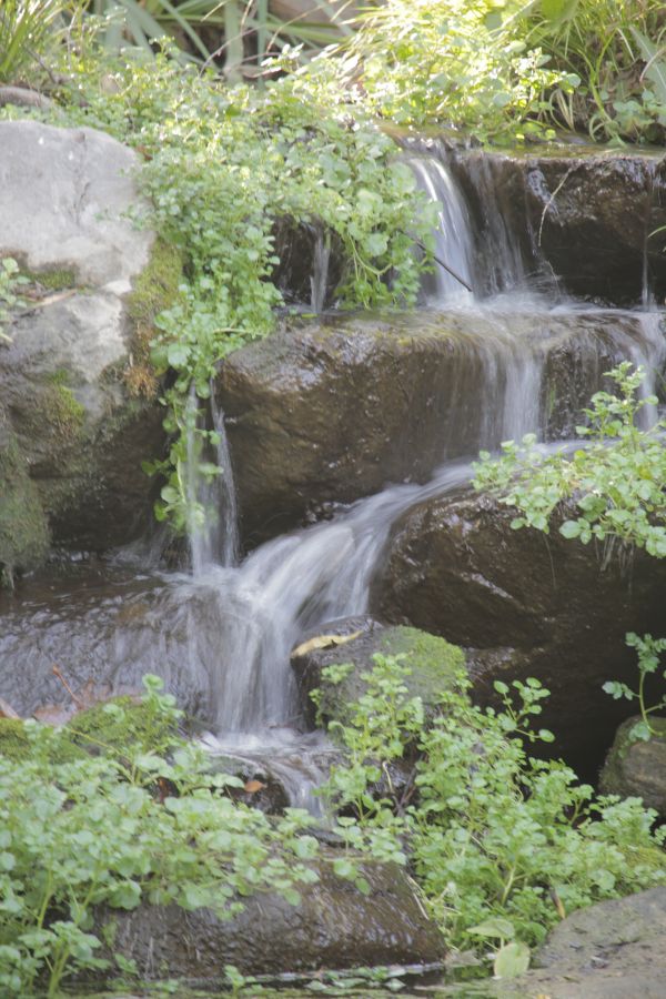 recursos hídricos, corpo de água, cascata, paisagem natural, vegetação, agua