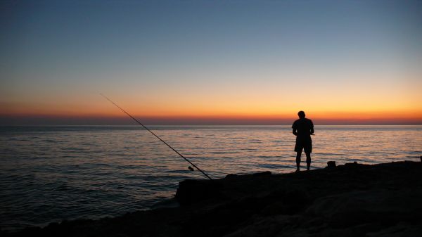 пляж,море,берег,воды,океан,горизонт