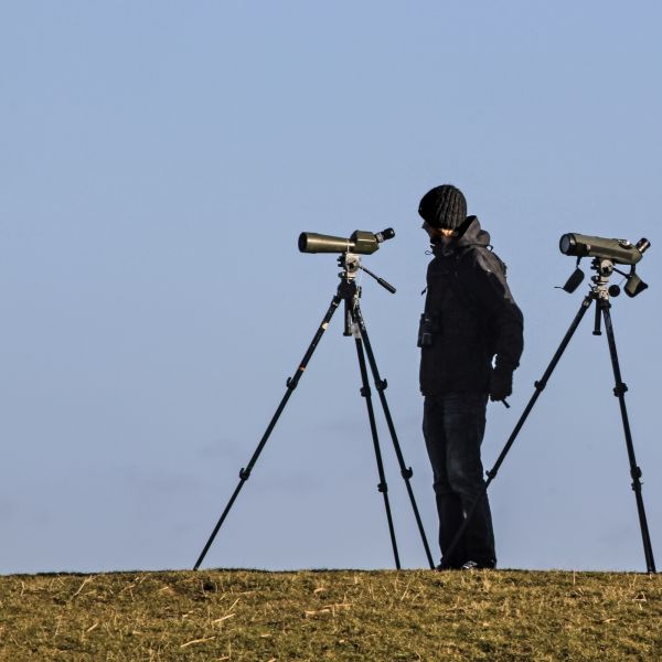 natuur,soldaat,vogels kijken,wind,ornitoloog,spotting scope