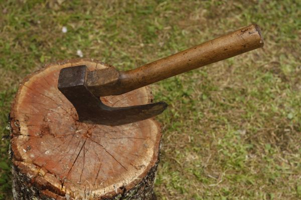 árbol, agudo, madera, herramienta, equipo, suelo