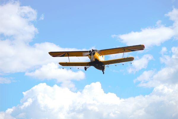 vinge,himmel,flyvende,køretøj,fly,fly