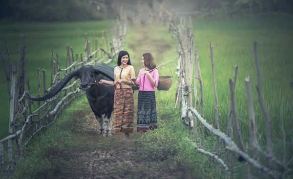 nature, grass, people, plant, girl, woman