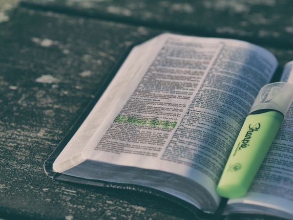 mano,libro,verde,color,Biblia,página