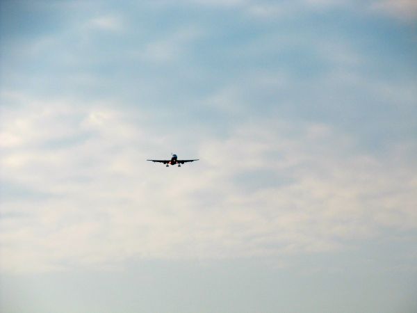 ala, nube, cielo, volador, viajar, silueta