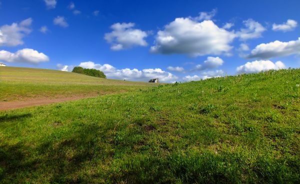 Landschaft, Baum, Natur, Gras, Horizont, Berg