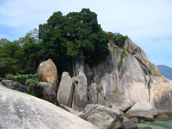 海,海岸,岩,山,谷,崖