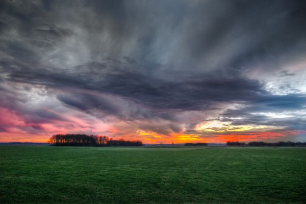 tájkép, természet, fű, horizont, felhő, ég