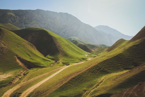 peisaj,natură,cale,Munte,drum,iarbă