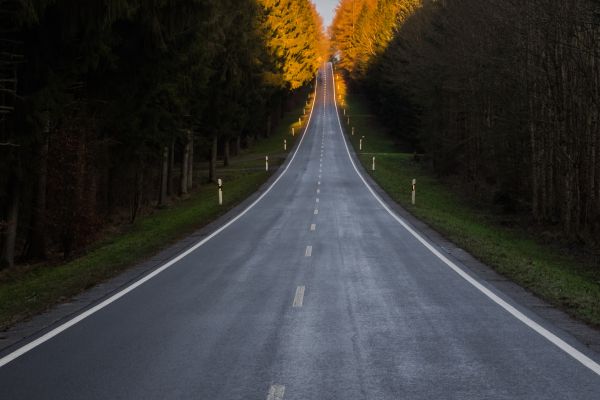 paisaje,bosque,la carretera,naturaleza,autopista,Valle