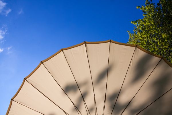 arkitektur, himmel, skärm, träd, öppen, strukturera