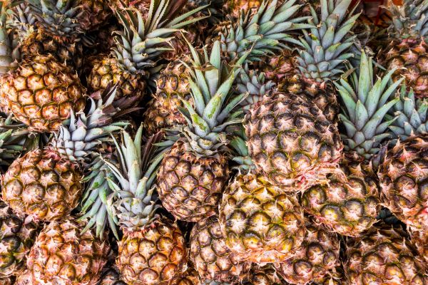 ananas,alimenti naturali,ananas,frutta,pianta,cibo