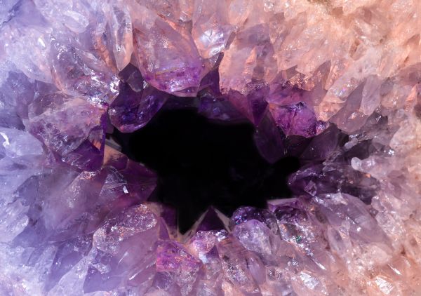 rock,flower,purple,petal,stone,macro