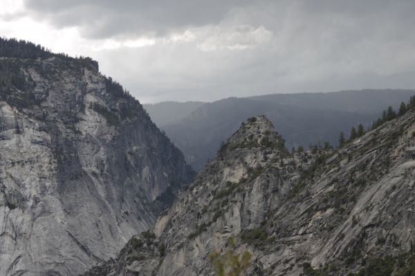 panorama, natureza, ao ar livre, árvore, agua, floresta