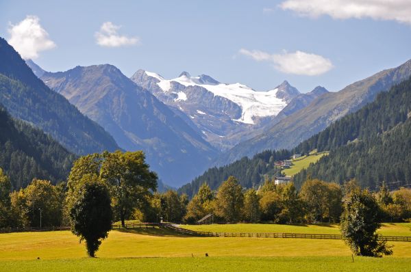 paysage,arbre,la nature,herbe,région sauvage,Montagne