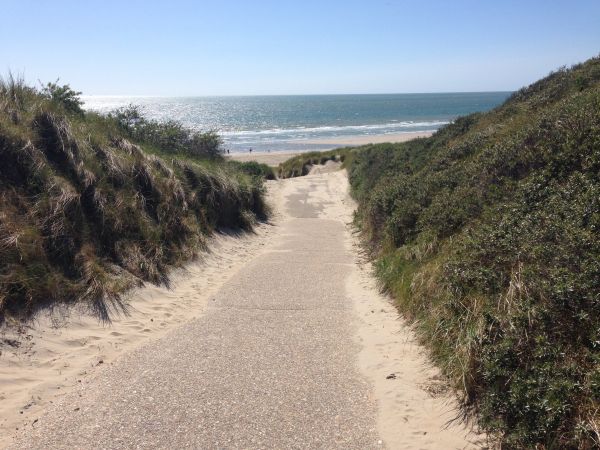 plage,paysage,mer,côte,eau,la nature