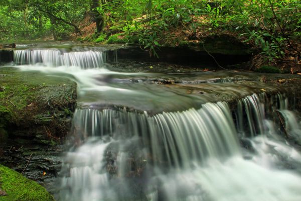 eau, la nature, forêt, cascade, ruisseau, randonnée