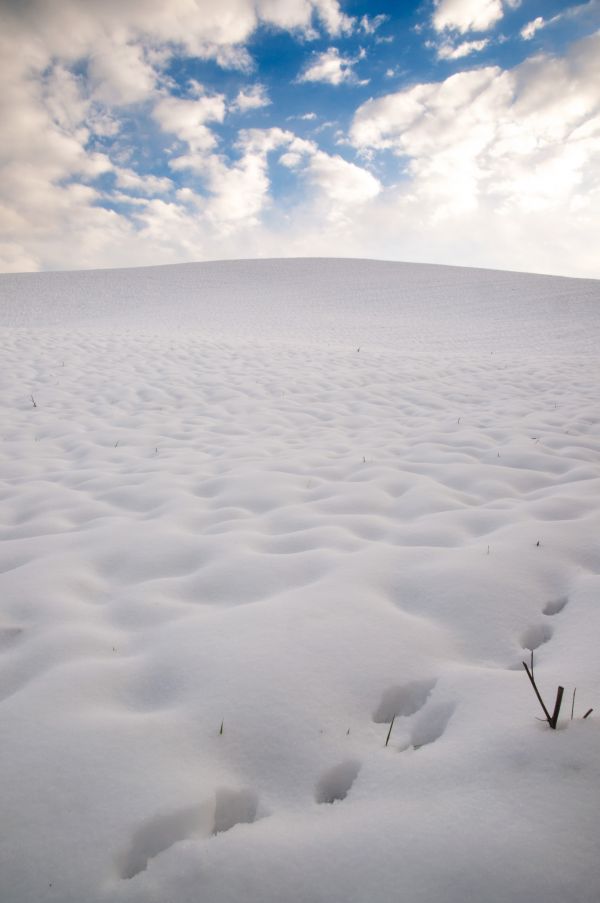 landskap, hav, natur, sand, hav, horisont