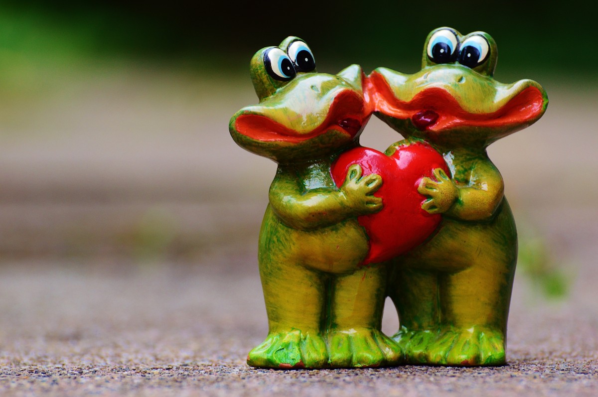 animal, cute, love, heart, green, partner, frog, amphibian, toy, fauna, deco, fun, figure, decorative, vertebrate, funny, lovers, pair, greeting card, frogs, macro photography, valentine's day