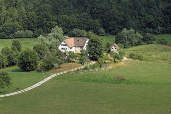 Landschaft, Natur, Wald, Gras, Feld, Straße