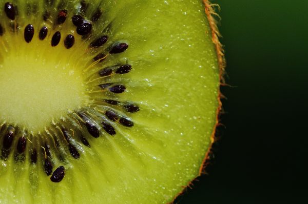 natuur, fabriek, fotografie, fruit, blad, zoet