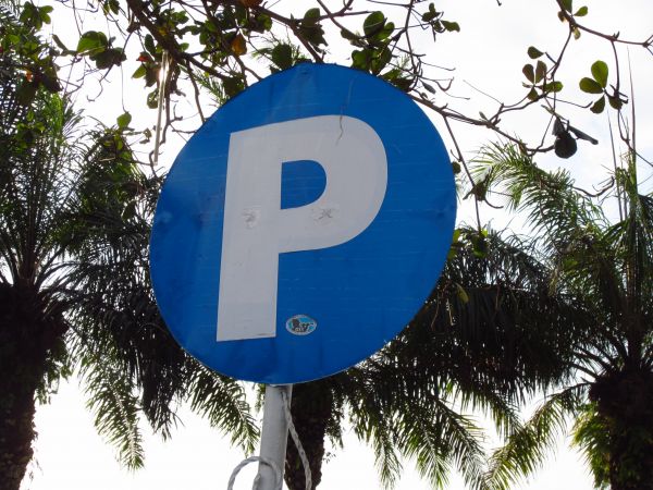 tree,sign,symbol,urban,park,blue