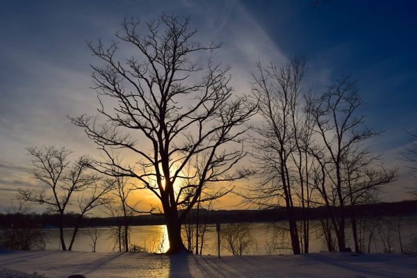 Landschaft, Baum, Wasser, Natur, Ast, Silhouette