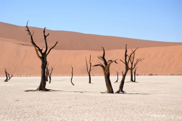 Landschaft,Sand,Wüste,Strand,Düne,trocken