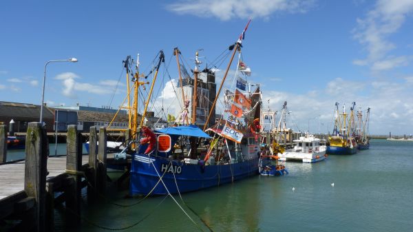 hav, Brygge, båt, skip, kjøretøy, støvel