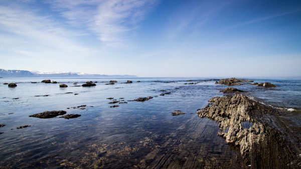 Strand, landskap, hav, kyst, vann, natur