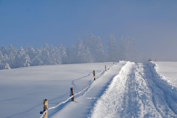 natur,bjerg,sne,kold,vinter,lys