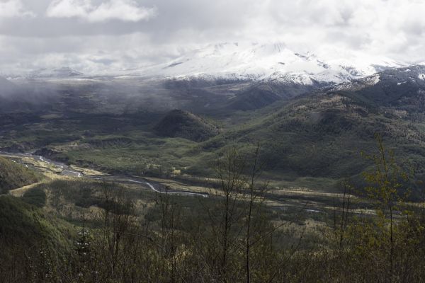 landskap, natur, skog, utendørs, villmark, fjell