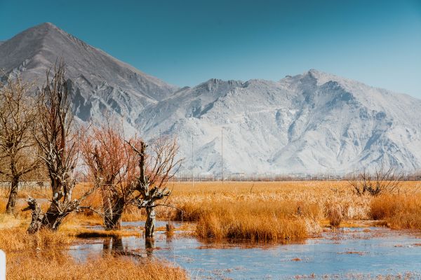 Landschaft, Natur, Wildnis, Berg, Baum, Schnee