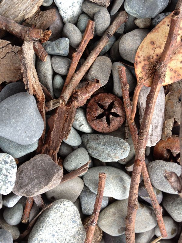 tree, nature, rock, branch, wood, driftwood