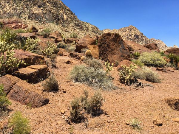 nature,rock,landscape,sand,wilderness,walking