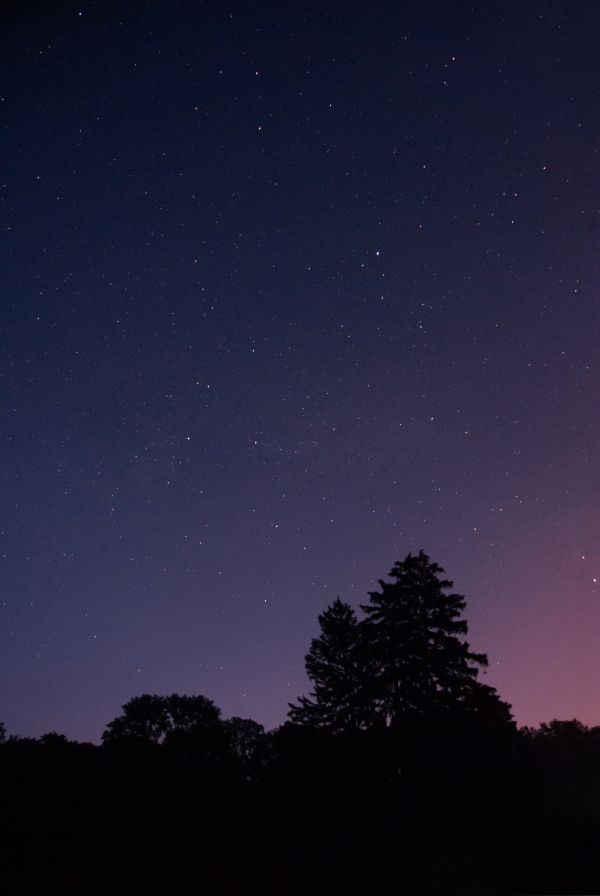 natureza, silhueta, céu, noite, Estrela, alvorecer