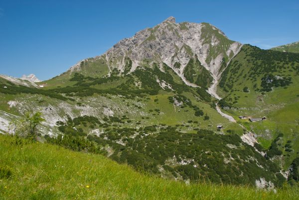 paesaggio, natura, foresta, natura selvaggia, a passeggio, montagna