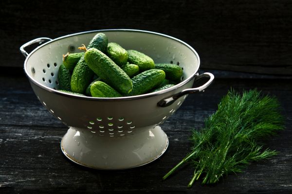 food,green,vegetable,plant,cucumber,gherkin