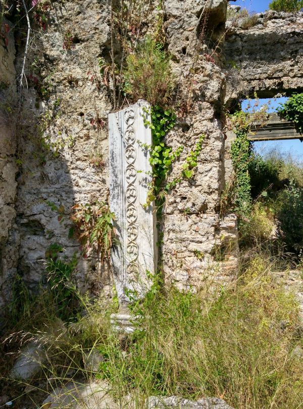 árvore,Rocha,trilha,flor,região selvagem,construção