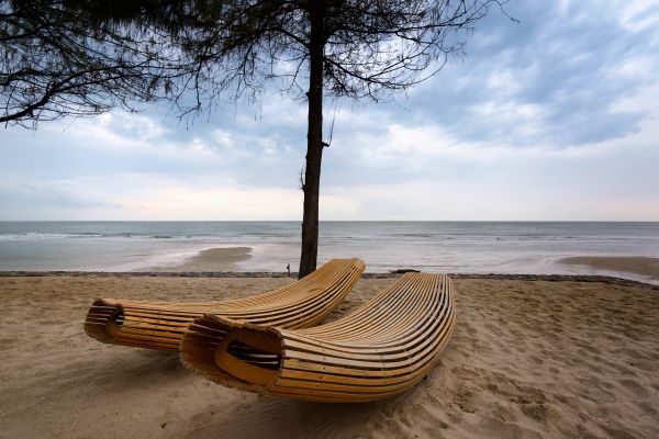 海, 木, 水, ビーチ, 海岸, 砂