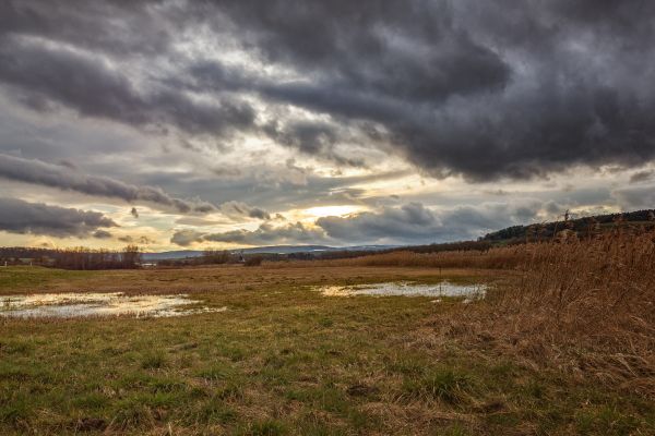 krajobraz, Natura, trawa, morze, Wybrzeże, horyzont