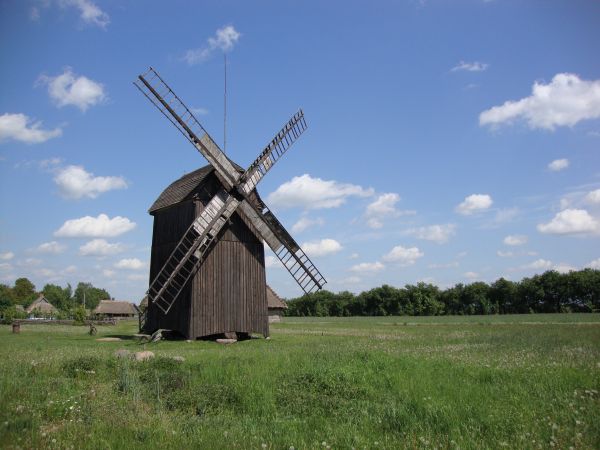 arbre, champ, prairie, Moulin à vent, vent, architecture