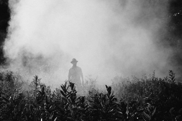 homem,nuvem,Preto e branco,névoa,névoa,campo