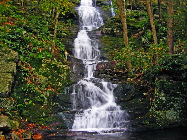 Baum,Wasser,Natur,Wald,Wasserfall,Rock